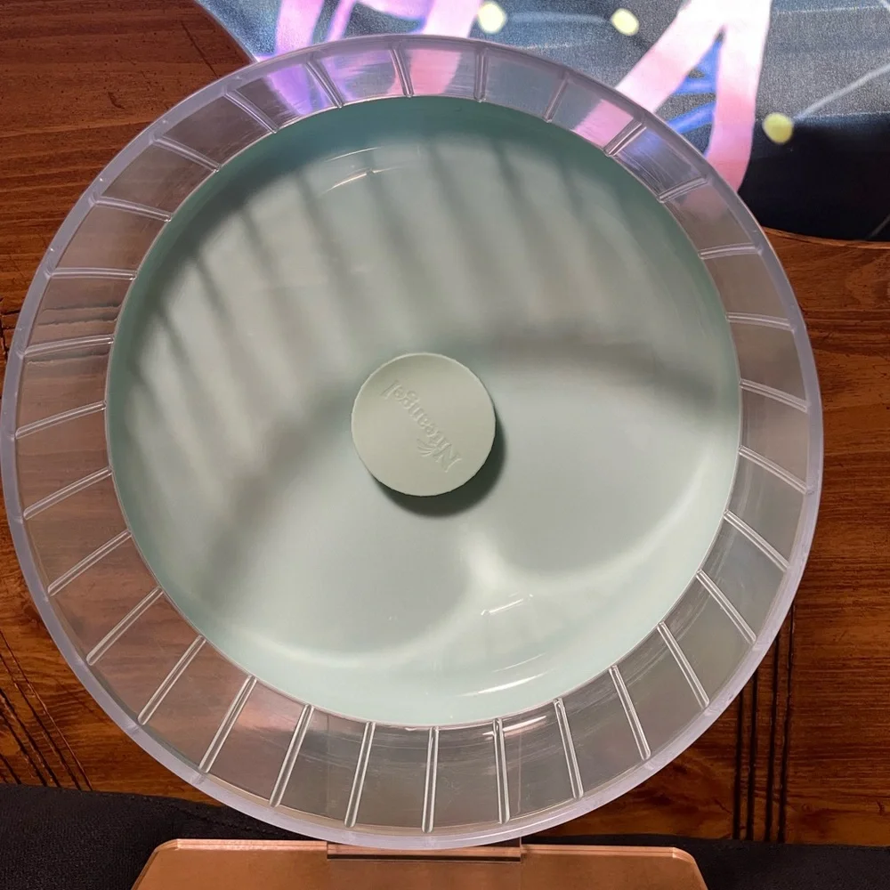 Hamster Wheel 🐹- Mint Green
